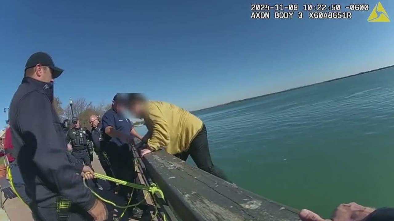 Woman jumps into Detroit River to save dog from drowning, gets arrested for being drunk