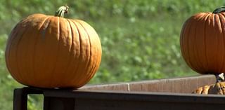 Join the celebration for Punkin’ Days in Floydada, Saturday, Oct. 12