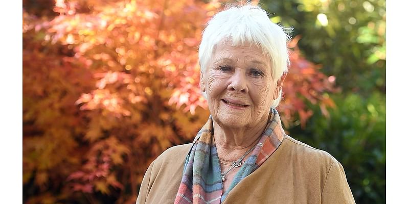 Judi Dench, 89, breaks down in tears when asked about her late friend Maggie Smith at Cheltenham Literature festival - one month after losing her beloved stage companion Barbara Leigh-Hunt