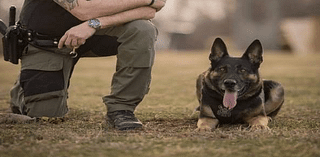 Community mourns after Cambria County K9 officer dies from cancer