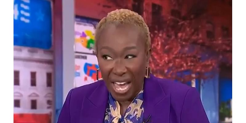 MSNBC's Joy Reid melts down live on air after Trump wins Florida in 2024 election