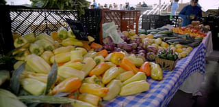 Foodwise Ferry Plaza farmers market uplifts BIPOC entrepreneurs