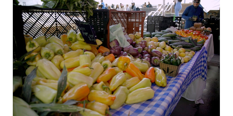 Foodwise Ferry Plaza farmers market uplifts BIPOC entrepreneurs