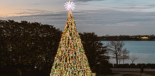 Kaleidoscope Park to Host Holiday Tree Lighting Friday, Nov. 22