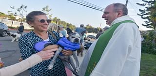 Creatures great and small are blessed at Our Lady of Malibu • The Malibu Times