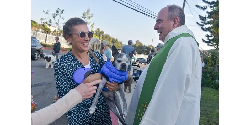 Creatures great and small are blessed at Our Lady of Malibu • The Malibu Times