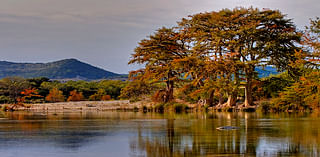 3 Texas state parks with gorgeous fall foliage