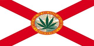 What The Passage Of Florida’s Amendment 3 Means For Cannabis Legalization