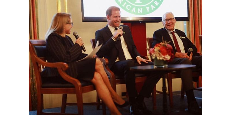 Prince Harry Joins Panel Moderated by Katie Couric Discussing African Parks, A Cause He's Long Supported