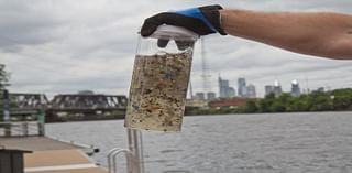 Rutgers researchers are exploring the impact of microplastics on the digestive system