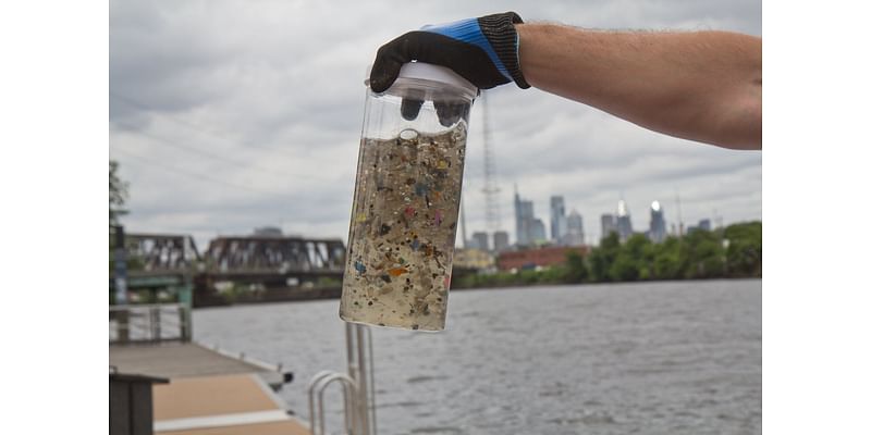 Rutgers researchers are exploring the impact of microplastics on the digestive system