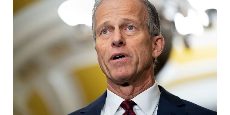 John Thune elected Senate majority leader