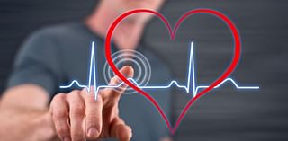 Phenols, Found in Many Products, Could Upset Heart's Rhythms