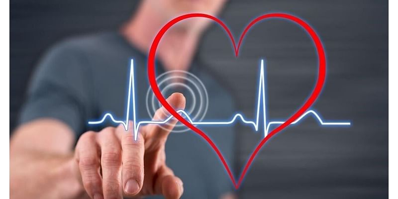 Phenols, Found in Many Products, Could Upset Heart's Rhythms