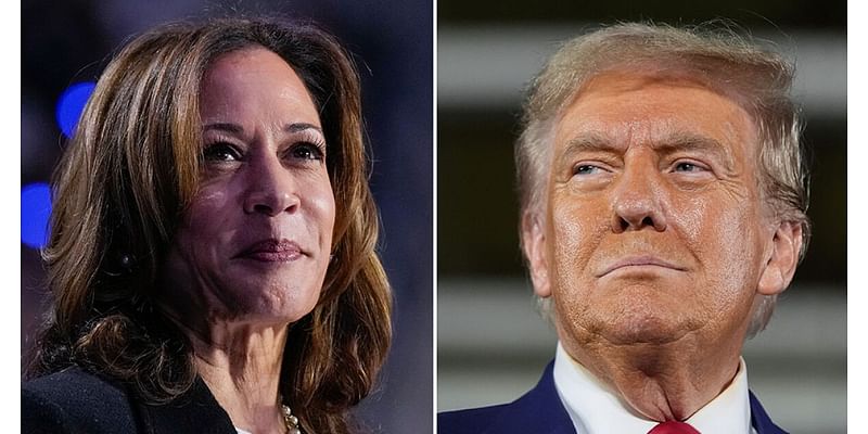 Live election updates: Harris, Trump appear confident as they await results