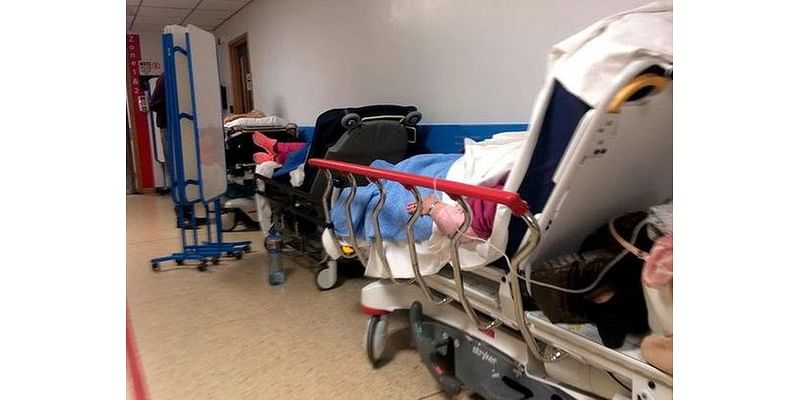 More than 560 wait for hospital beds as trolley numbers rise – signalling growing pressure on emergency departments