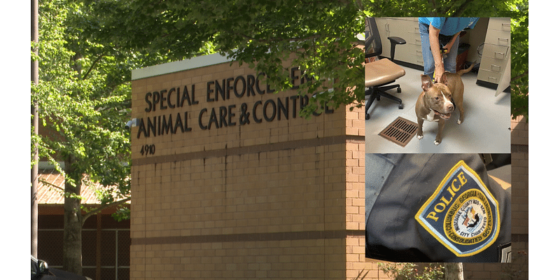 Columbus animal control manager, field supervisor placed on leave