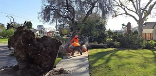 High winds forecast in Orange County on November 6 & 7