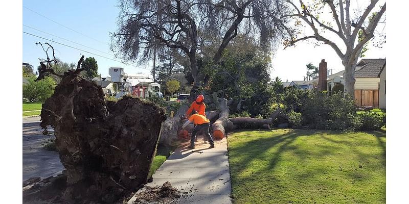 High winds forecast in Orange County on November 6 & 7