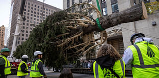 Haul out the holly! Rockefeller Center Christmas Tree arrives in New York City