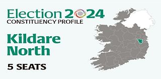 Kildare North Election 2024: Who are the candidates and who could make gains? Everything you need to know before voting