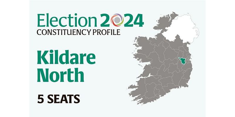 Kildare North Election 2024: Who are the candidates and who could make gains? Everything you need to know before voting