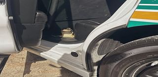 Polk County deputies ‘arrest’ baby gator