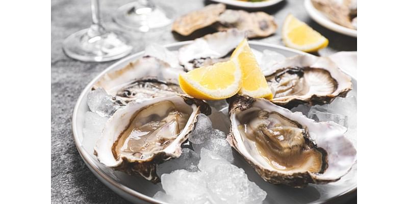 Lowcountry oyster season begins: A guide to Charleston’s best oyster roasts and traditions