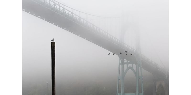 Thursday’s dense fog lifts before noon. Portland turns soggy midafternoon when rain arrives