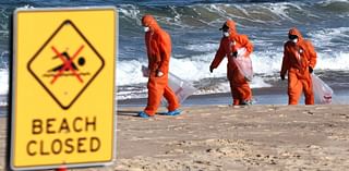 Sydney beaches shut over mysterious tar balls washing ashore