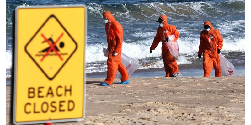 Sydney beaches shut over mysterious tar balls washing ashore