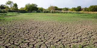 Several Kentucky counties, including Fayette, eligible for federal funds due to summer drought