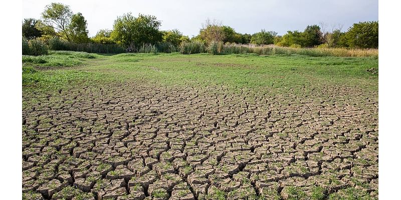 Several Kentucky counties, including Fayette, eligible for federal funds due to summer drought