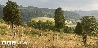 Donors still 'urgently' needed for Gloucestershire beauty spot