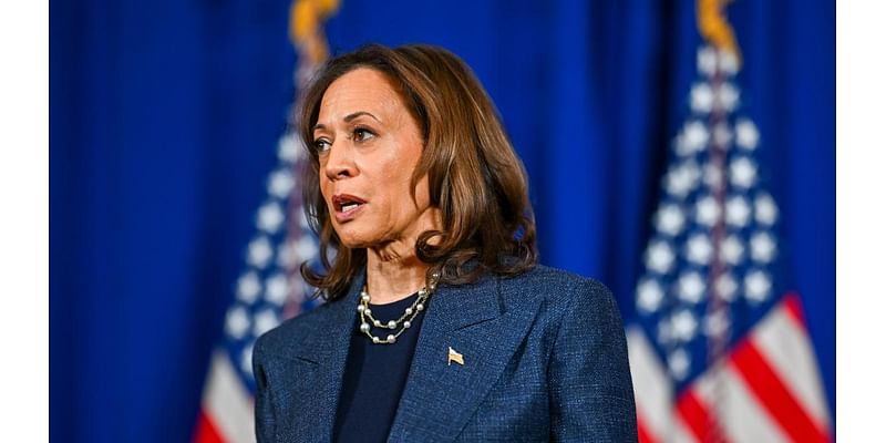 Harris Slammed for Delay in Conceding to Trump: ‘Sore Loser’