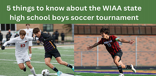 5 things to know about the WIAA high school boys soccer state tournament