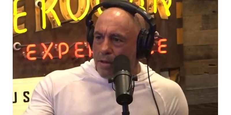 “Very Offensive” – Joe Rogan Sums Up Honest Opinion on ‘Super Genius’ Terrence Howard