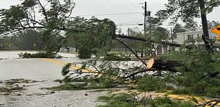 Helene Aftermath in Martinez | Three trees down on family’s home