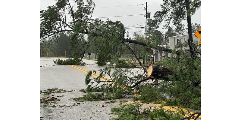 Helene Aftermath in Martinez | Three trees down on family’s home