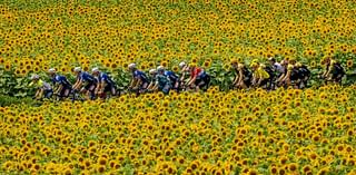 How to watch Tour de France: Live stream the race free from anywhere