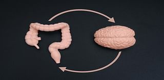 Feeling stressed? Your gut may be to blame.