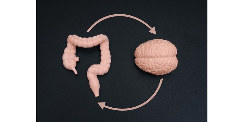 Feeling stressed? Your gut may be to blame.