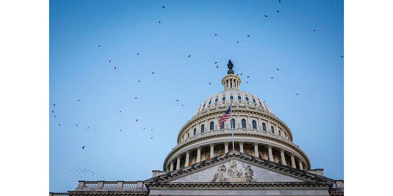 Maddow Blog | What a Republican Senate takeover will mean for Donald Trump