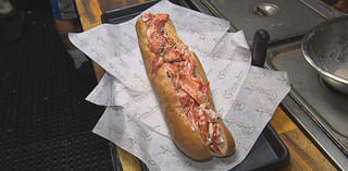 Giant lobster rolls at Boston sub shop sell for special price of $11 for limited time