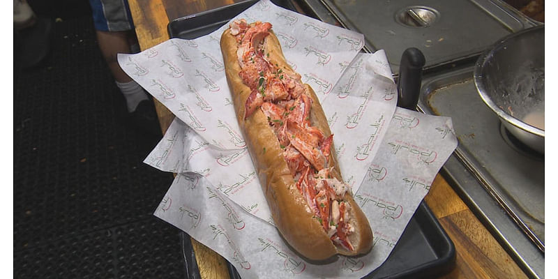 Giant lobster rolls at Boston sub shop sell for special price of $11 for limited time