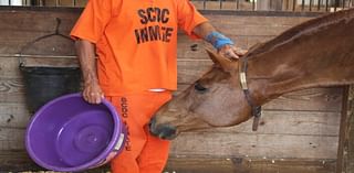 ‘They change each other’: For 20 years, SC inmates have helped train racehorses