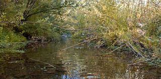 Officials move forward with initiative to protect one of America's most endangered rivers: 'We think this has merit'