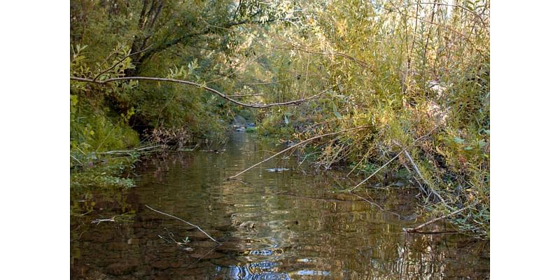 Officials move forward with initiative to protect one of America's most endangered rivers: 'We think this has merit'