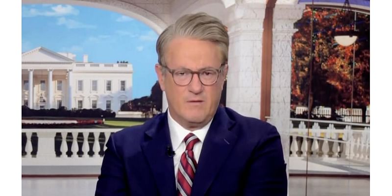 ‘Morning Joe’ Says Dems Harping on About Toxic Masculinity Cost Them Votes