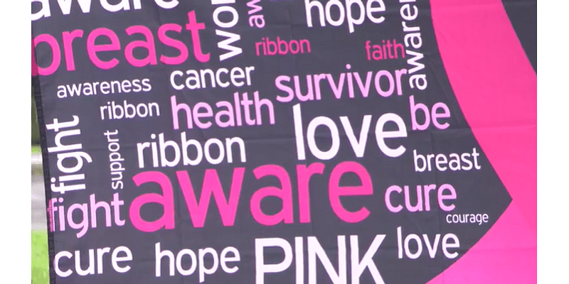 Pittsford walkers ‘positively pink’ to raise money for breast cancer survivors, fighters